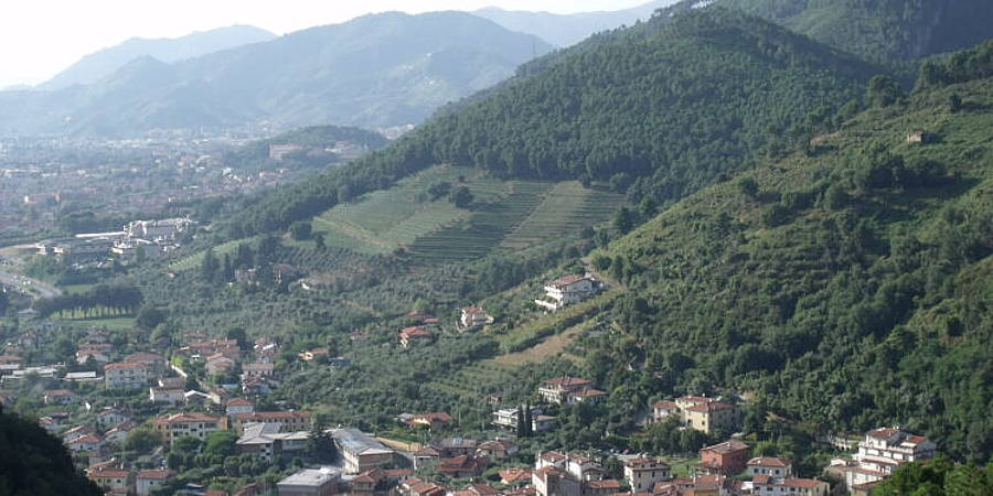 Montignoso